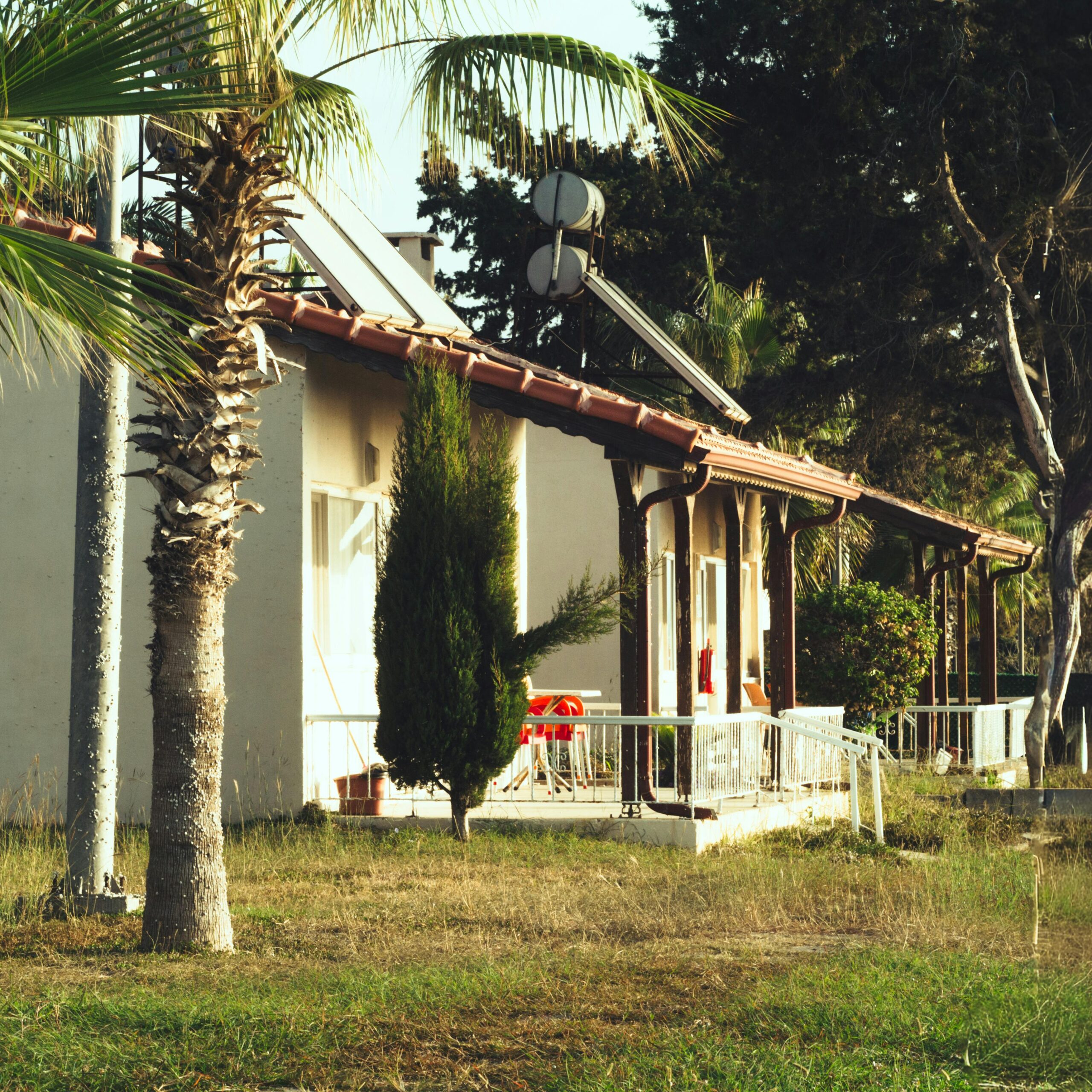 A warm view of a quaint bungalow surrounded by lush palm trees and greenery under a clear sunny sky.